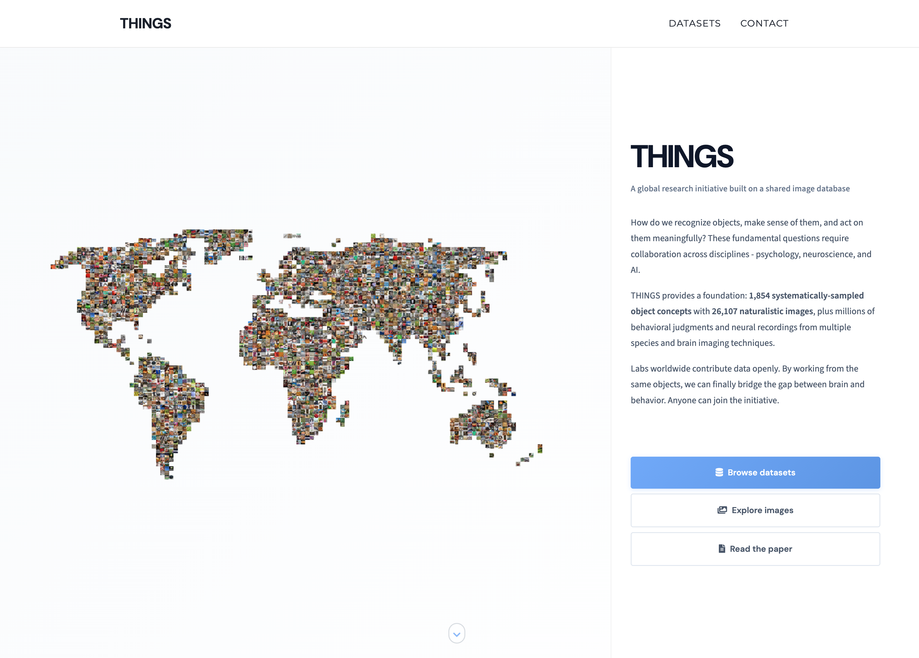 Website after redesign